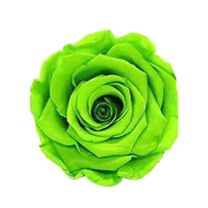6 Roses Dried Flower Flower Head Eternal Flower B-class Wedding Family Decoration Valentine's Day Mother's Day: QG
