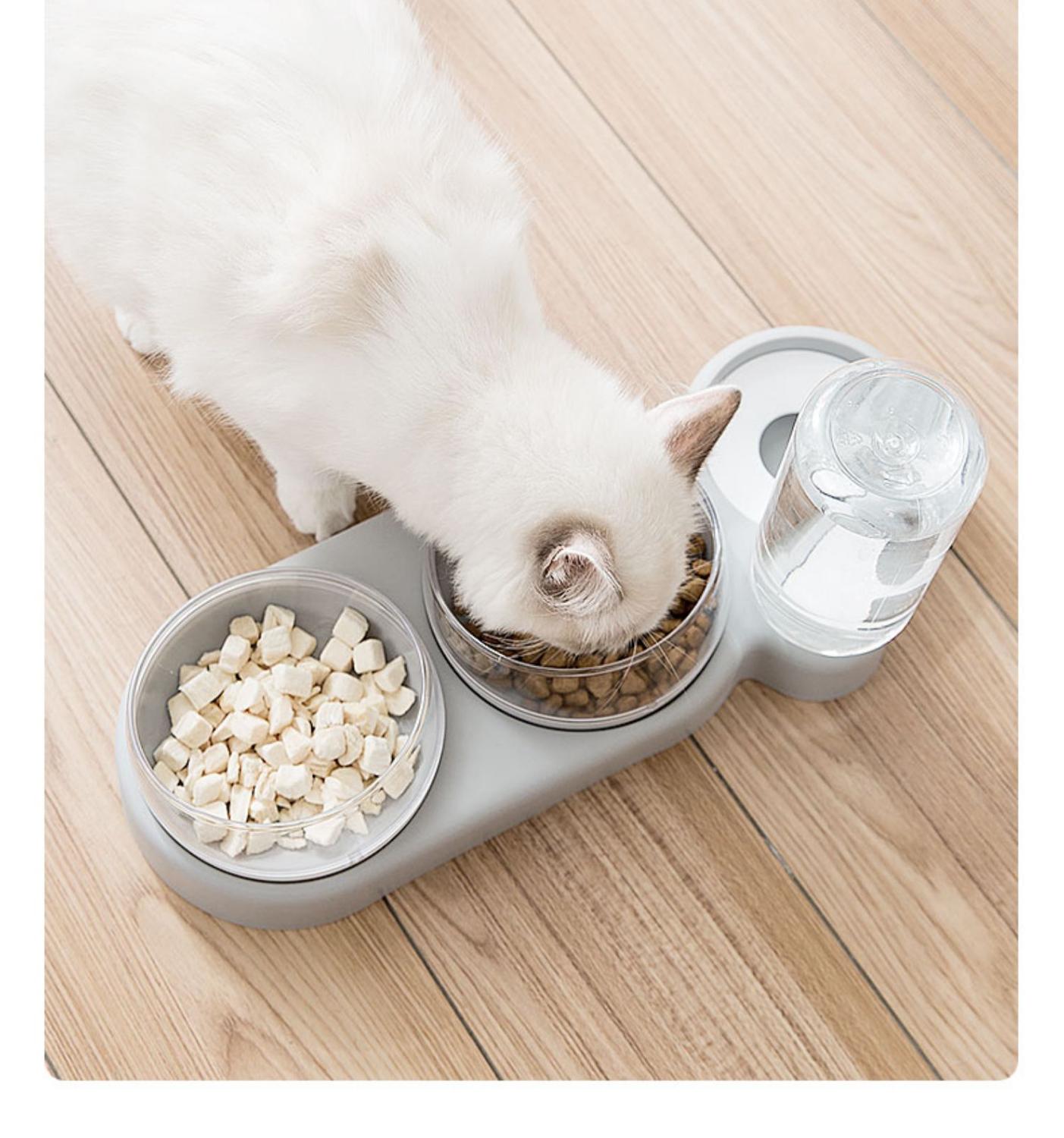 Miska dla kota karmnik dla psa podwójna doniczka automatyczne przechowywanie wody i antypoślizgowy podajnik dla zwierząt domowych