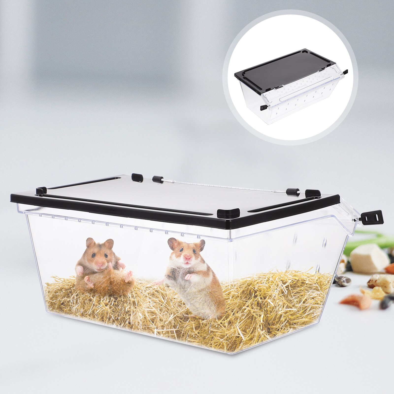 1pc Reptile Feeding Box Practical Snake Hatching Container Lizard Display Box