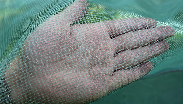 Filet de pêche avec Cage en maille, petit filet pour attraper des poissons, boîte, Aquarium, étang, Cage carrée, piège, branx