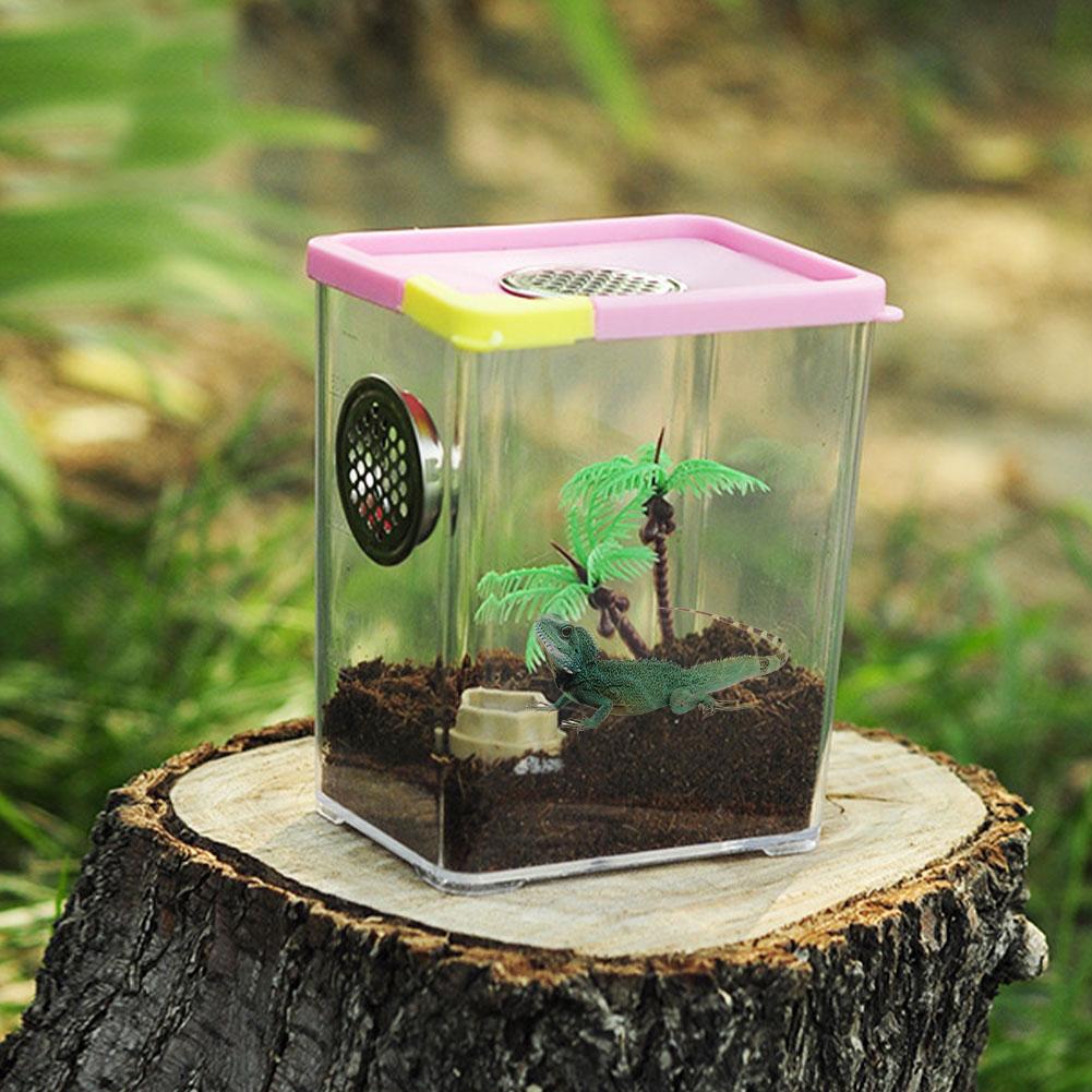 Reptile Breeding Box Clear Acrylic Reptile Terrarium Feeding Box for Spider Scorpion Pet Terrarium Snake Spider Lizard Scorpion