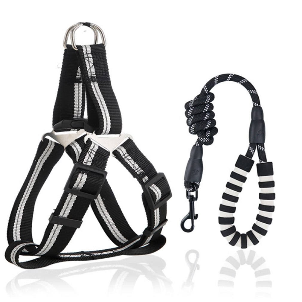 Pawstrip Handenvrije hondenriem - reflecterende heupriem voor het uitlaten van de hond, verstelbare crossbody hondentrainingsriem - nylon dubbele riemen voor kleine, middelgrote en grote honden (rood Pawstrip Handenvrije hondenriem - reflecterende heupriem voor het uitlaten van de hond, verstelbare crossbody hondentrainingsriem - nylon dubbele riemen voor kleine, middelgrote en grote honden (rood