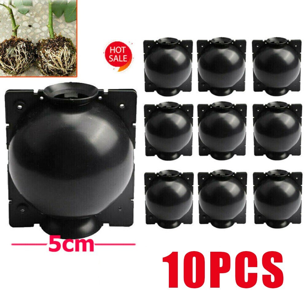 10pcs Grafted Rooter Tree High Altitude Pressure Branch Plant Propagation Ball For Indoor And Outdoor Plants