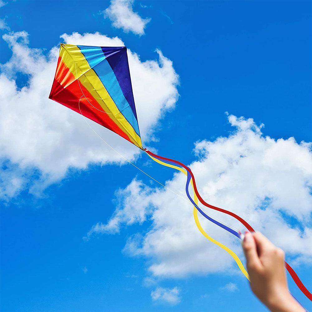 Colorful Rainbow Kite Long Tail Polyester Outdoor Kites Flying Toys For Children Kids Surf Kite With Control Bar And 30m Line