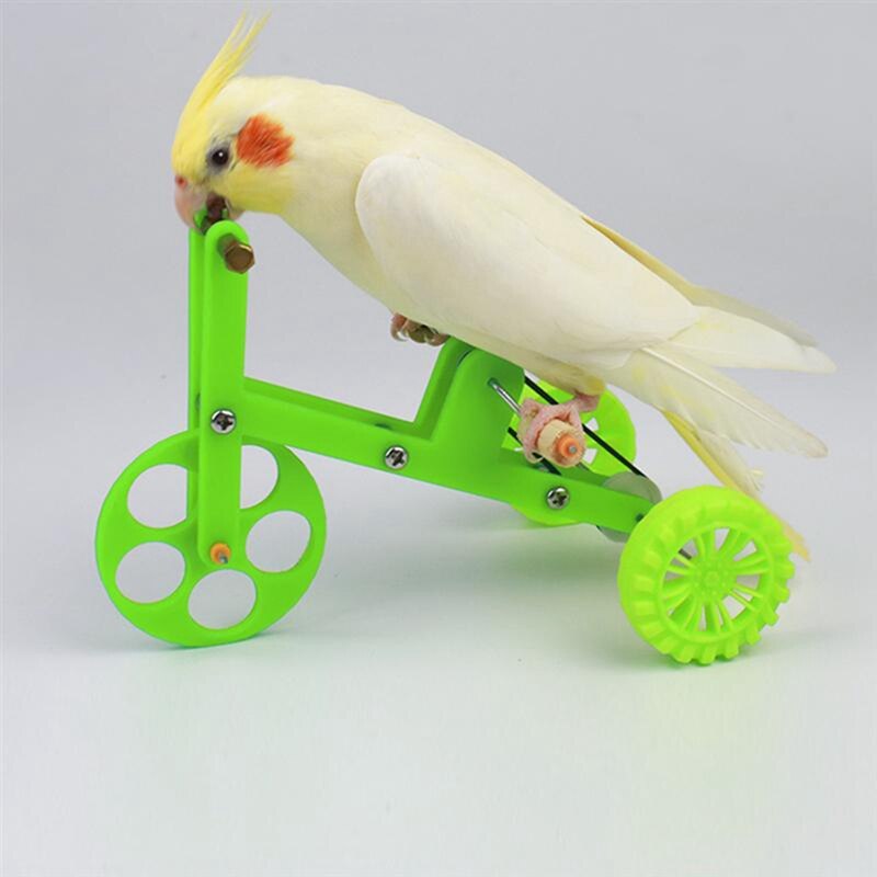 Juguete divertido para loros, bicicleta de entrenamiento de aves, accesorios de entrenamiento para loros, juguete para loros