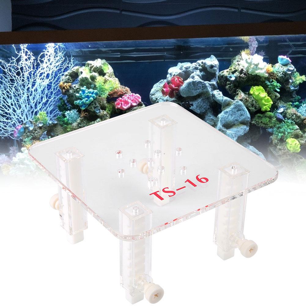 Verstelbare kunststof houder voor aquariumfilter, viseierenverdeler met schalen voor viseiwitafschuimer, aquariumaccessoire