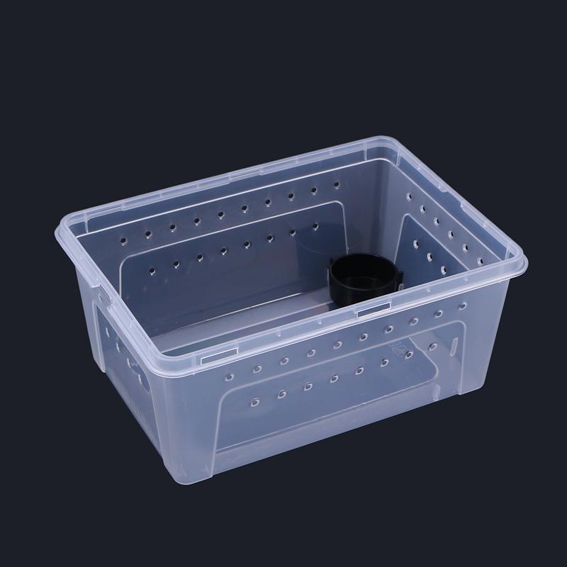 1Pc Reptiel Doos Plastic Transparant Duurzaam Draagbare Uitkomen Container Kweekbak Voeden Case Voor Insect Schorpioen Schildpad