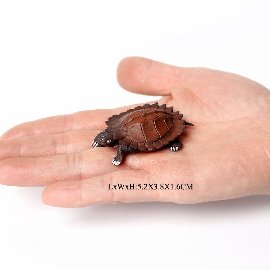 Realistische Plastic Zeeschildpad Levensechte Schildpadden Oceaan Dier Kleine Schildpad Beeldjes Voor Party Favor Decoratie Educatief Speelgoed: NO.14