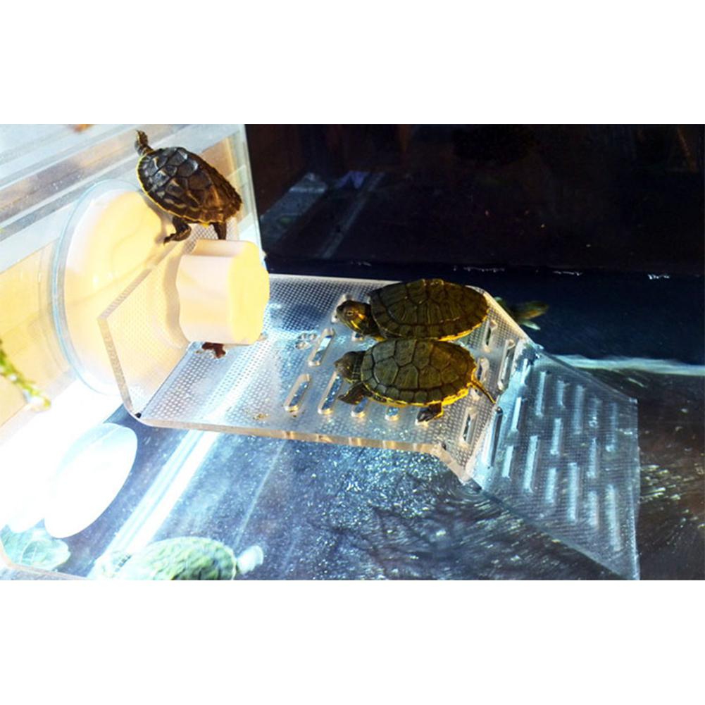 Tortue transparente chenille toit terrasse tortue piscine flotteur île dorsale Bask plateforme décoration Aquarium accessoire