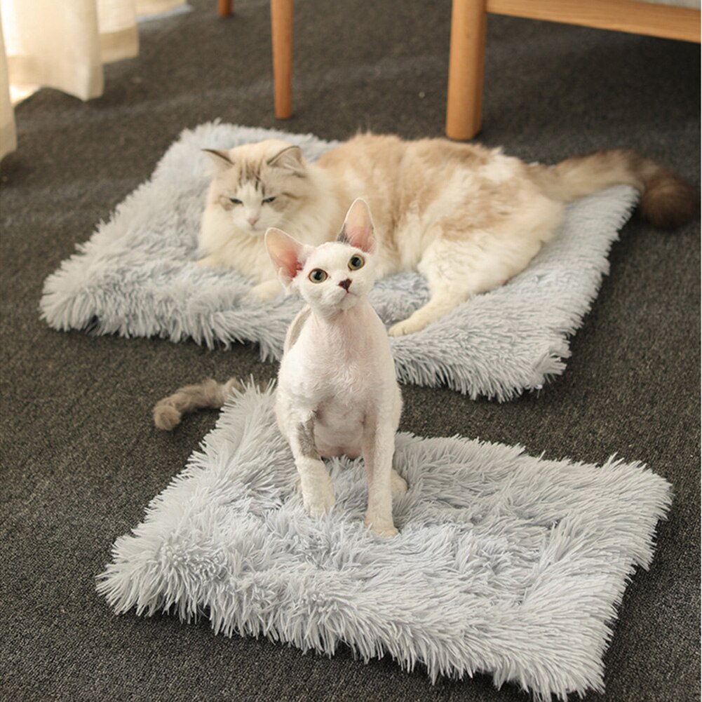 Winter Dog Bed Mat Soft Fleece Pet Cushion House Warm Puppy Cat Sleeping Bed Blanket for Small Large Dogs Cats Product
