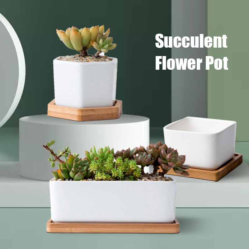 Minimalist Simple White Desktop White Ceramic Flowerpot With Bamboo Tray Succulent Plant Pot Cactus Planter Flower Pot