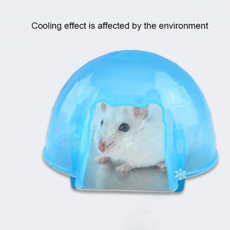 Summer Cool Hamster Squirrel Arch Cooling Down Plastic House Small Pet Cage Bed Play Toy Blue Pink Color Great: Blue