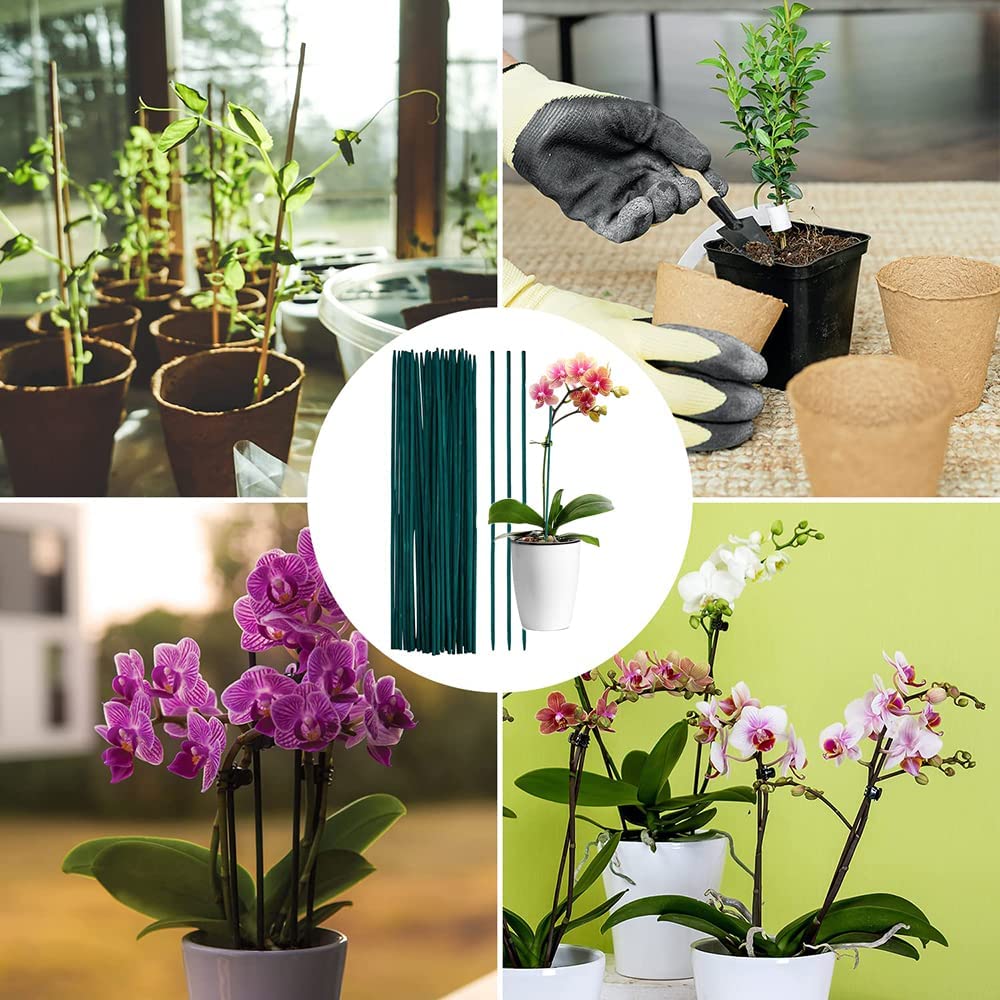 Palos verdes de bambú para 20 piezas, soporte para plantas, palitos para flores, varilla para orquídeas, palitos para plantas para apoyar plantas trepadoras, orquídeas y tomate