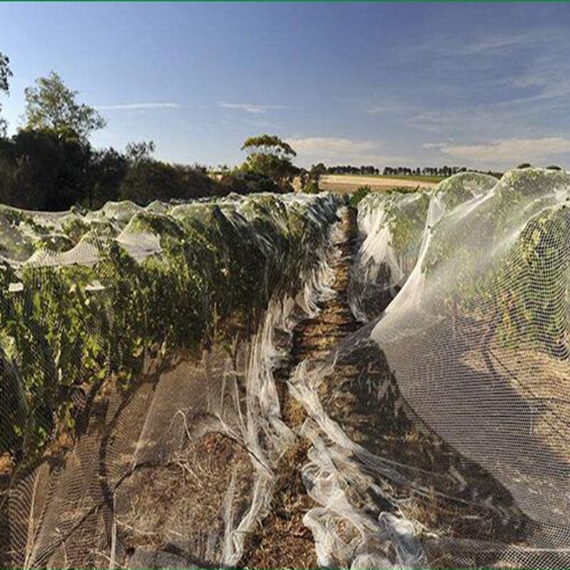 1m Anti-bird Net Fruit Tree Grape Protection Netting Plant Care Covers Crops Fish Aquaculture Protection Net Airport Bird-proof