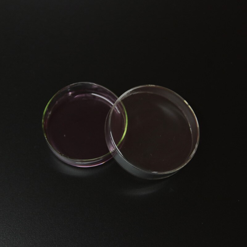 10 stk 60mm glas petriskål laboratorie kemisk biologi petriskål