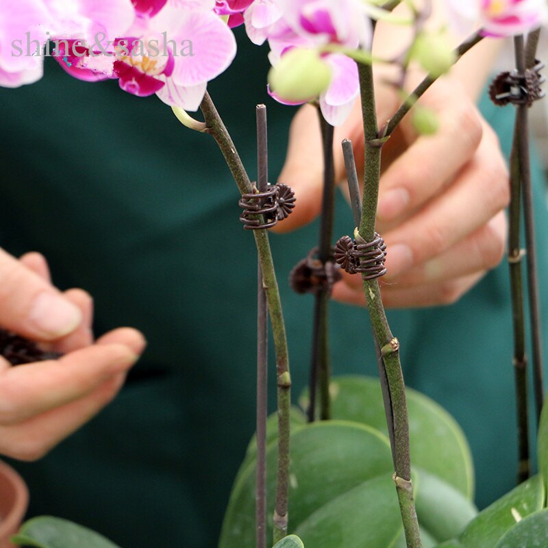 wire and clipper orchid flower sticks