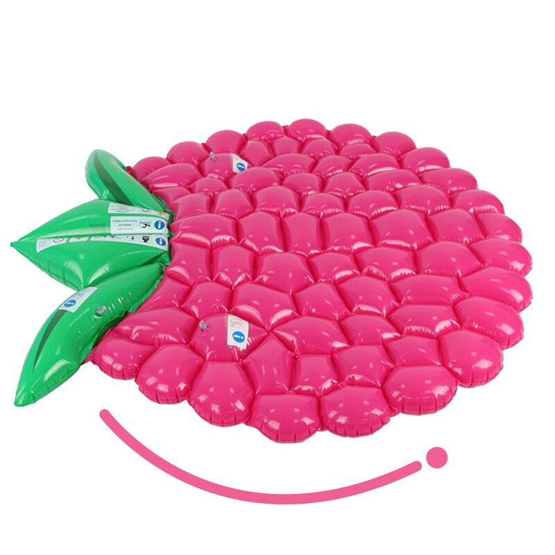Opblaasbare Pool Float Rasberry Float Giant Opblaa... – Vicedeal