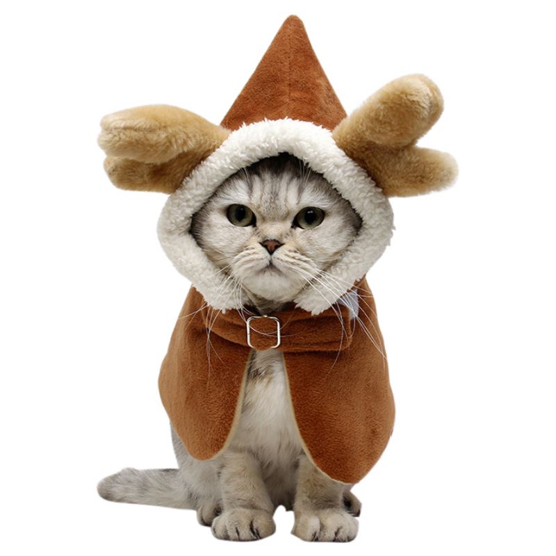 Julekat tøj hættejakke til katte sjovt forår festival kappe påklædning tøj åredragt: Default Title