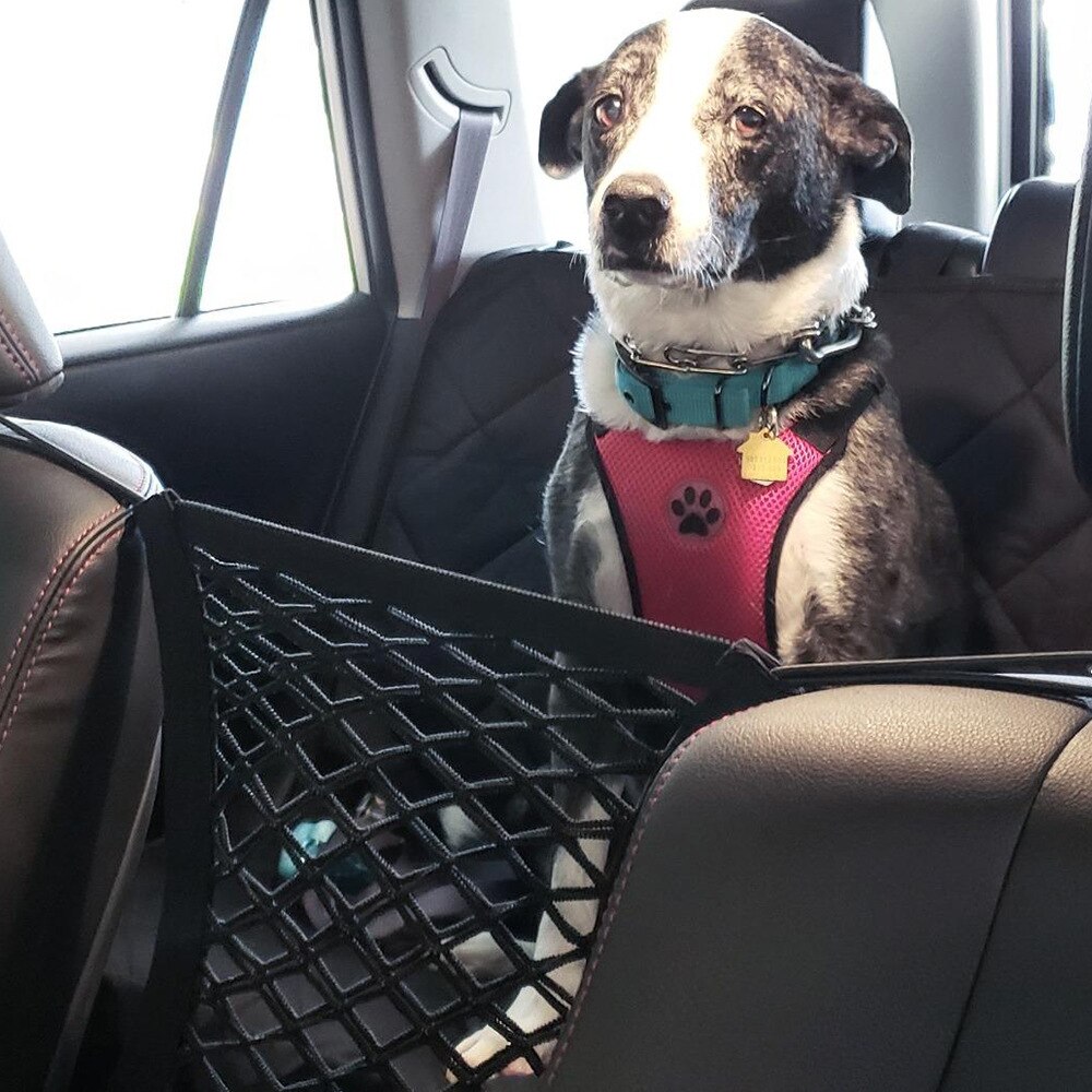Haustier Isolation Netto Hund Sitz Abdeckung Auto  – Grandado