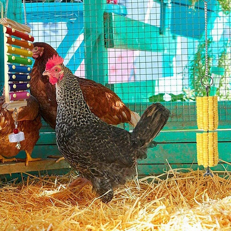 3PCS Chicken Toys Chicken Swing Toy,Wood Stand for Chicken Coop Swing Ladder Toys Vegetable Hanging Feeder for Chicken