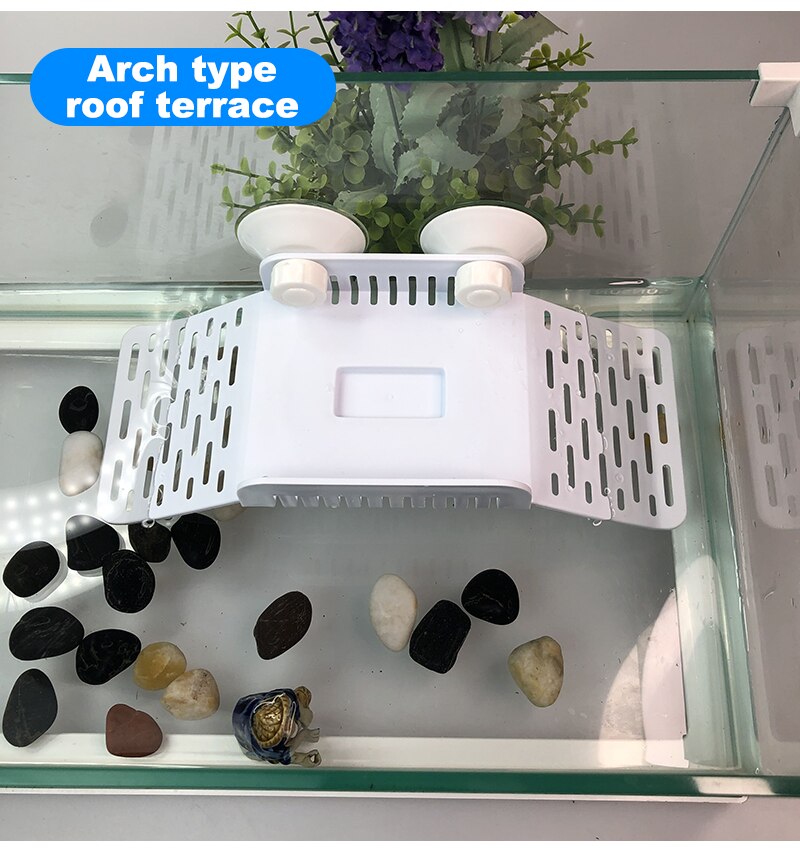 Turtle Basking Platform Turtle Tank Platform Aquarium Animal Sink Wharf Reptile Habitat Climbing Floating Shelf with Sucker Cap