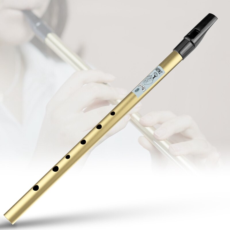 YN-NAOMI Traditional Irish Tin Whistle Penny Whistle Key of D Irish Whistle Six-Holed Woodwind Instrument