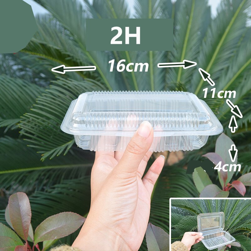 100Pack Disposable Clear Plastic Containers Transparent Box for Dessert Fruit Cake Salad Sandwiches Take Out Box: 2H