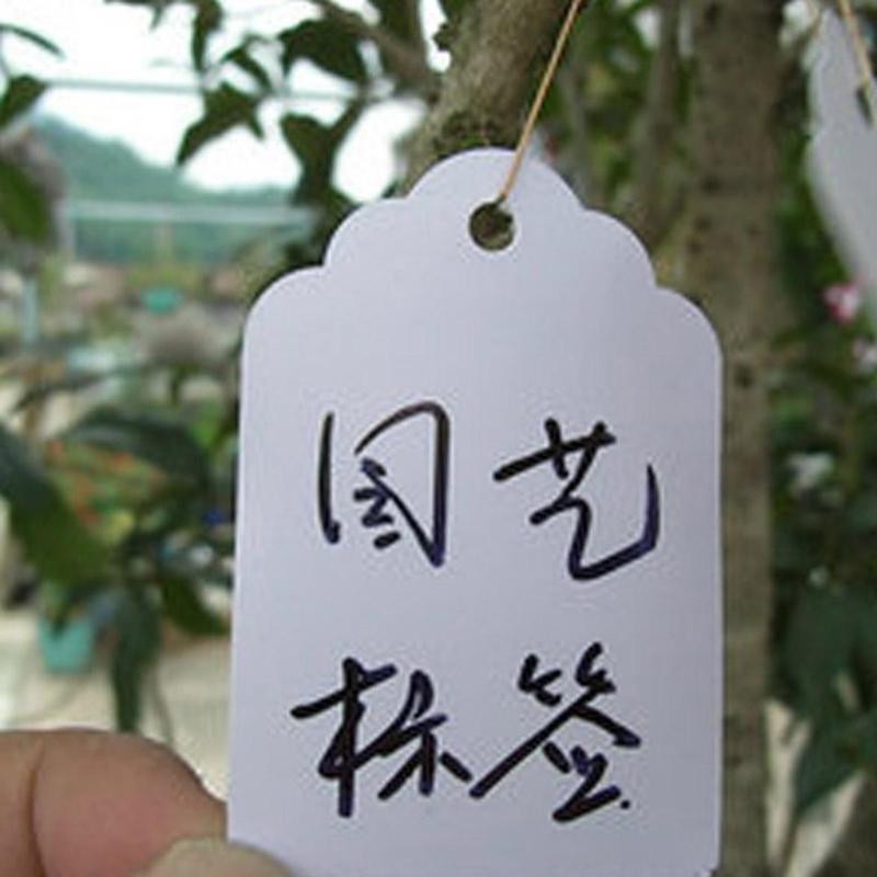 100pcs 3.6*2.5cm Plastic Plants Labels Hang Tag Garden Flower Pot Nursery Pots Reusable Planters Flower Tag Label Marker