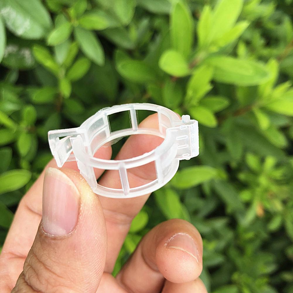 50Pcs Trellis Tuin Groenten Tomaat Wijnstok Stengels Groeien Rechtop Ondersteuning Plant Clips Voor Kousenband Planten Landbouw Duurzaam