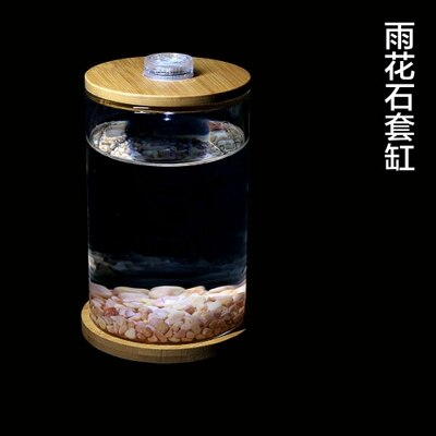 Novel and Strange Toy Miniature Glass Fish Tank DIY Ecology Bottle Desktop Micro-view Office Aquarium for Girl: 1