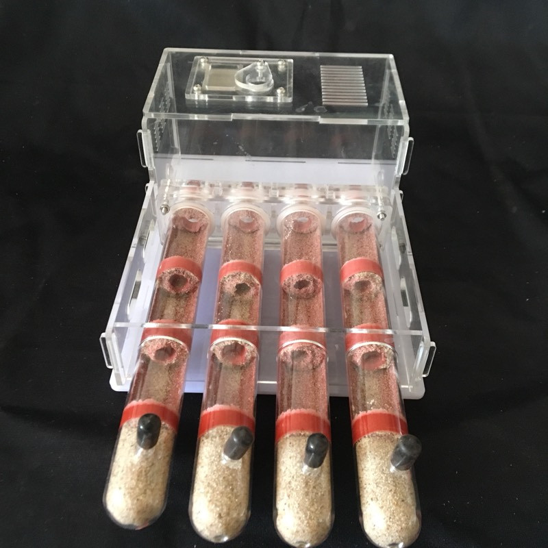 Granja de hormigas de vidrio acrílico con área de alimentación, casa de hormigas, fábrica de insectos, 4 tubos de ensayo, hormiguero