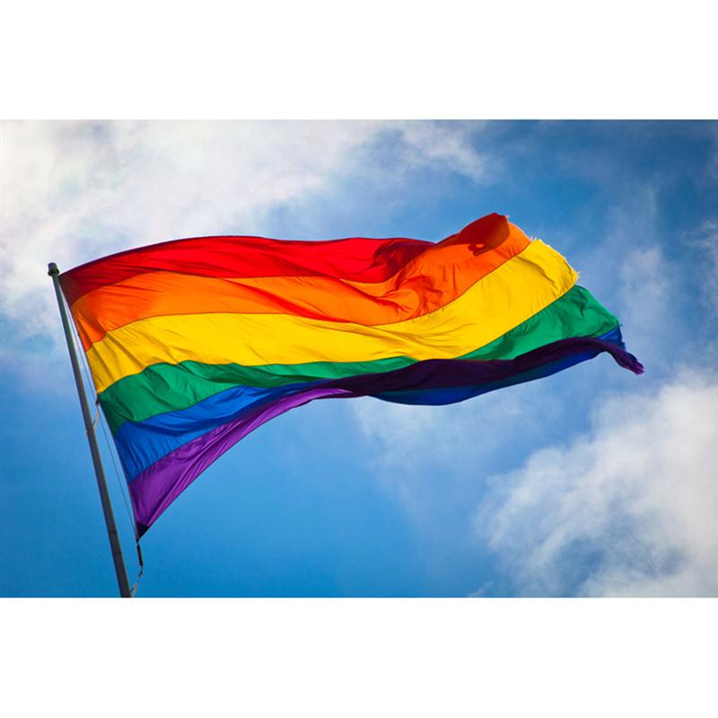 Polyester regnbue flag stort lgbt pride flag udendørs banner  (60*90cm)