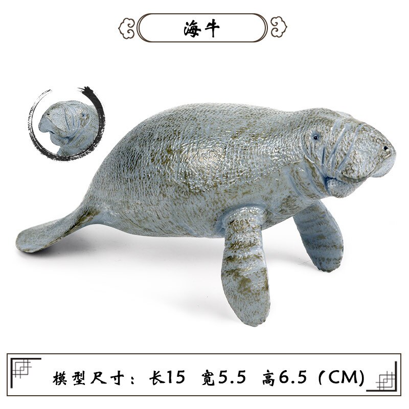Simulatie Oceaan Dier Seal Zeeleeuw Walrus Model Action Figure Beeldjes Collectie Cognitie Educatief Childrens Toys: M-420