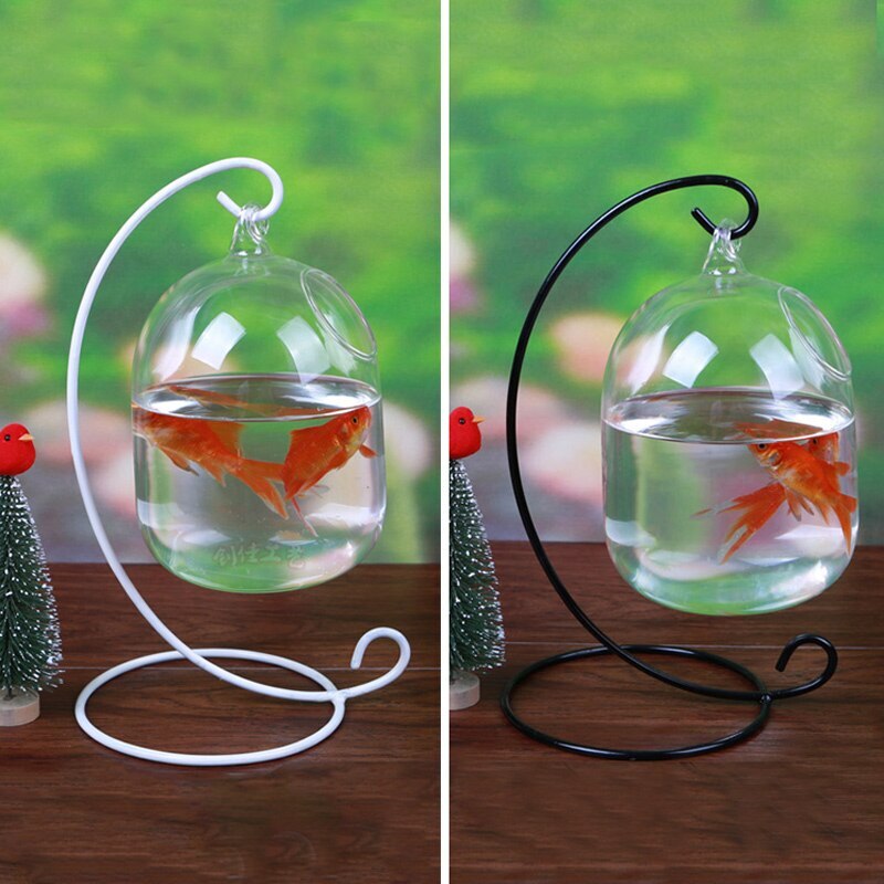 Aquarium suspendu poisson Vase verre Transparent poisson rouge bol pour la décoration de la maison avec support haut