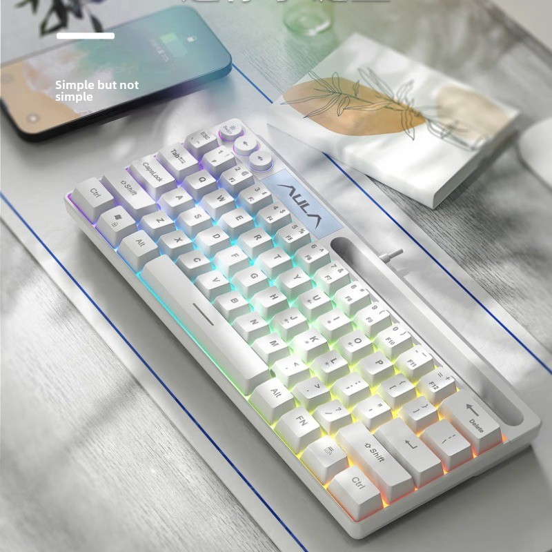 AULA F3061 Wired Mini Mechanical Keyboard 61 Key Simplified Layout Multi-function Button Ergonomics RGB Office Gaming Keyboard