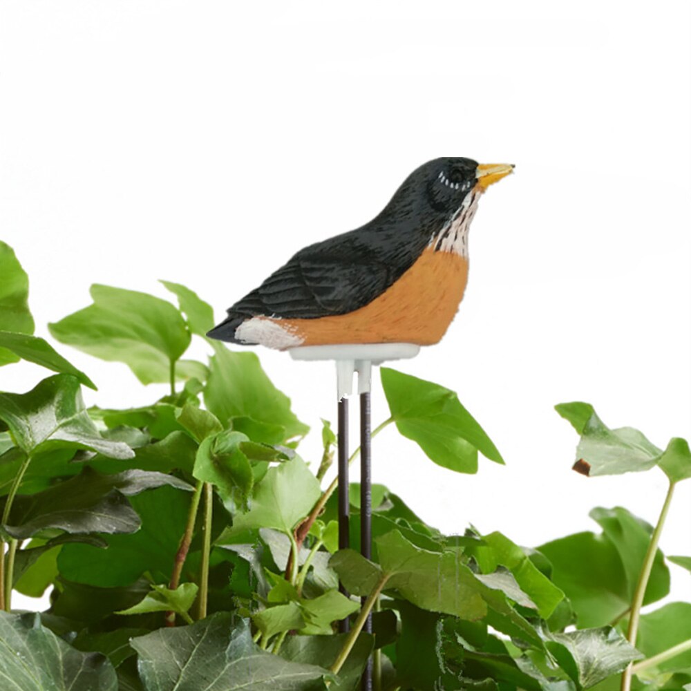 Jordfugtighedsmåler vanding alarm fugl plante vandtester hygrometer sensor havearbejde værktøjssæt til planter vand minder om warinin