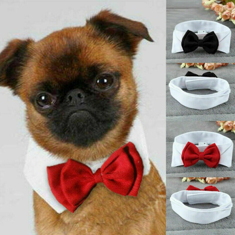 Pet Hond Kat Verstelbare Strikje-Kraag Stropdas Strik Zwart/Rode Stropdas Voor Kleine Middelgrote Hond & Kat huisdier Accessoires Voor Wedding Party