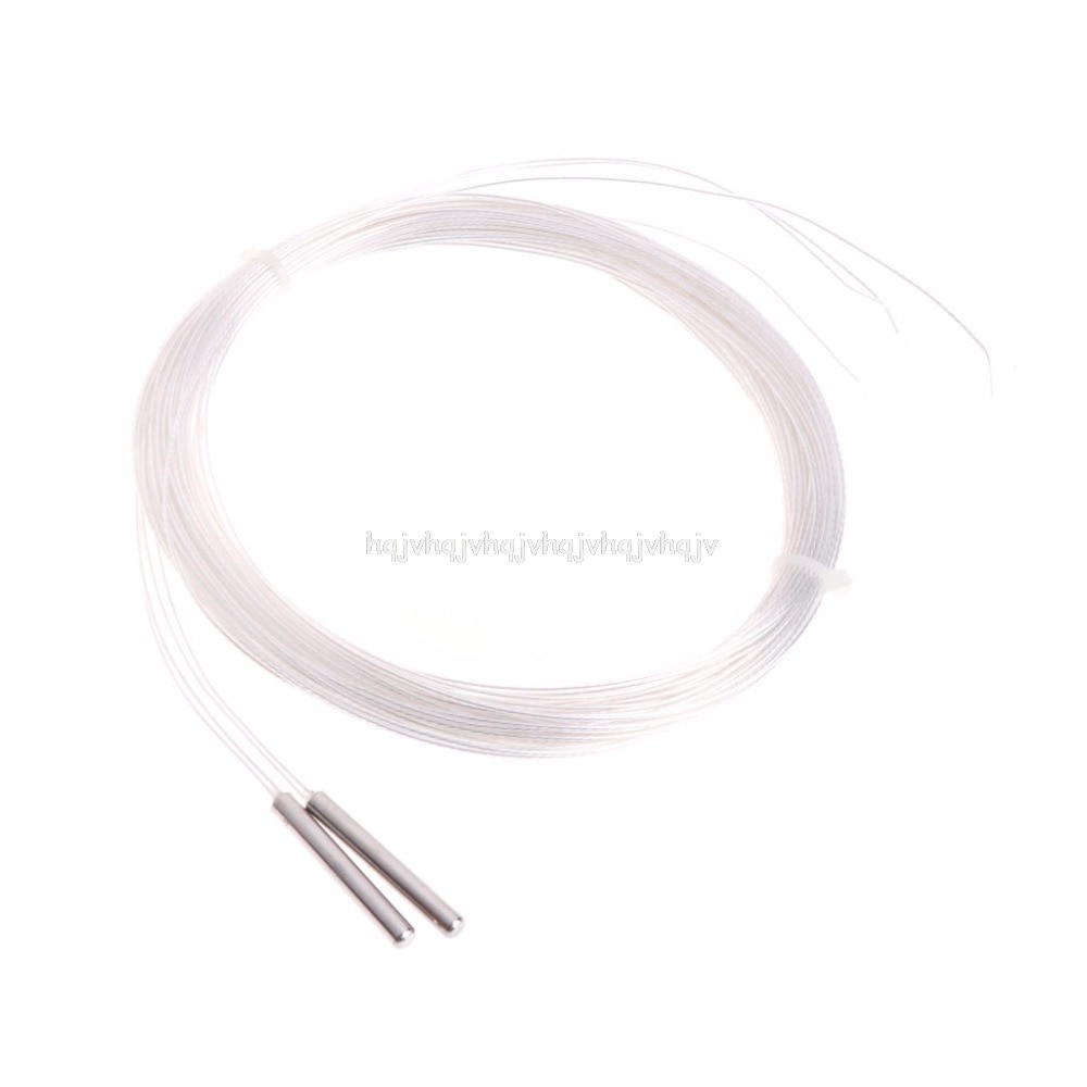 2 x PT 100 platino resistencia RTD Sensor sonda de temperatura con 5m cable N22 19