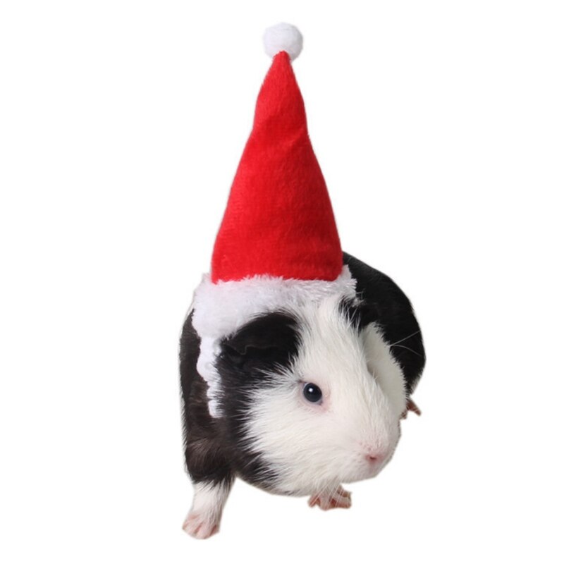 Small Pets Christmas Festival Decorative Costume Hamster Squirrel Santa Hat With Band Pet Products