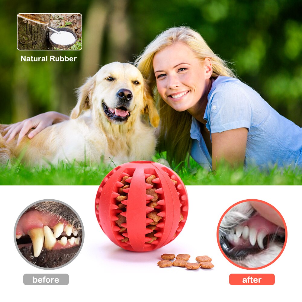 Bolas de goma interactivas para perros pequeños y grandes, juguetes para masticar, limpieza de dientes de mascotas, Bola de comida Indestructible