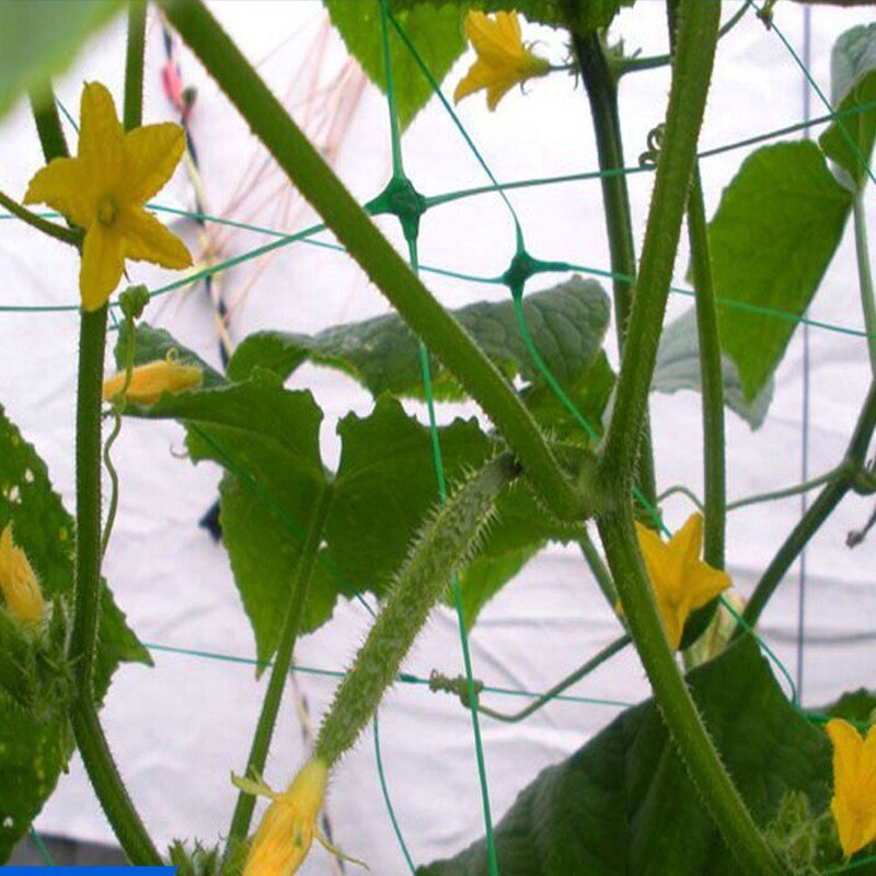 6pcs/lot Plastic Nylon Net Vines Plants Climbing Net Supports Flower Vegetable Landing Net Frame Vine Nylon Garden Netting
