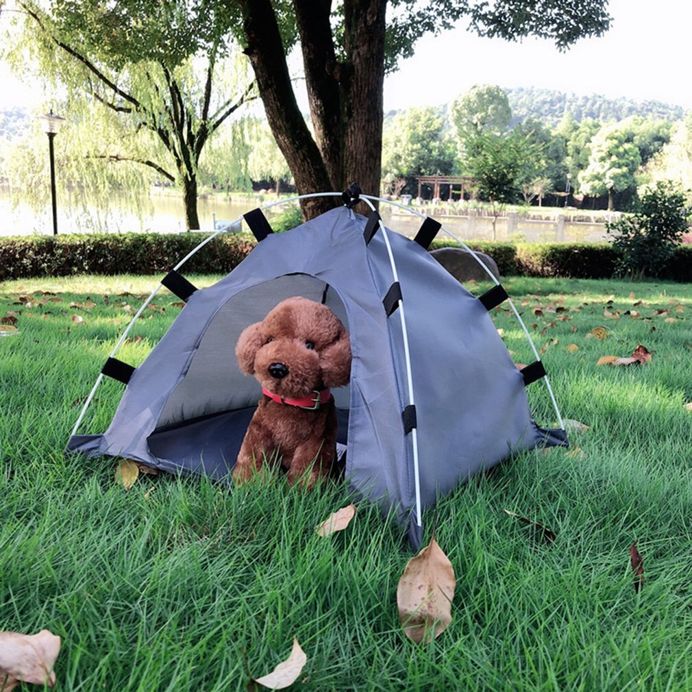 Tente Tunnel 6 En 1 Pour Chats Et Petits Chiens – Pliable, En Nylon, Pour L'extérieur !