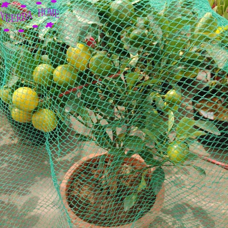 6 x 5m fortykkelse fuglesikker kappe drue kirsebærnet frugttræ fuglesikkert net frugtplantage nylonskede haglfast net kan genbruges