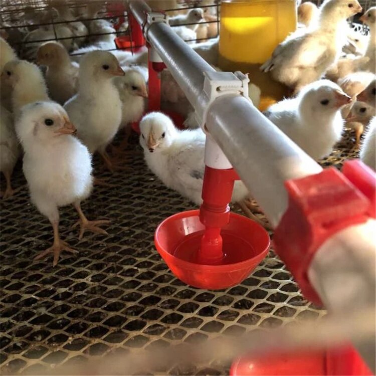 10 stuks hangende drinknippels voor kippen, 25mm waterpijpen voor kuikens, kippen en duiven, plastic drinkbekers