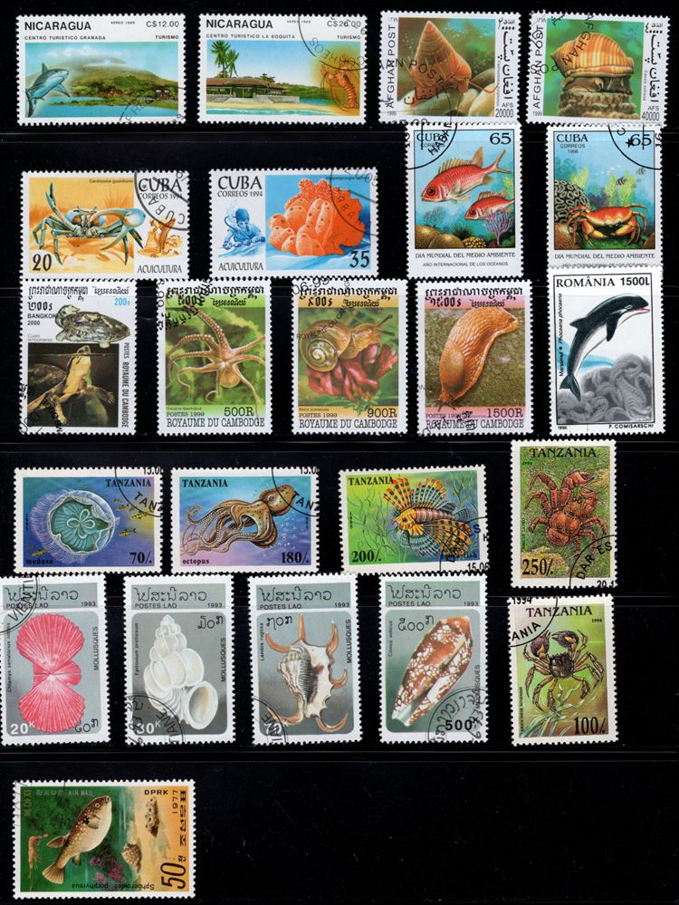 50 Stks/partij Oceaan Dieren Stempel Topic Alle Verschillende Uit Vele Landen Geen Herhaling Postzegels Met Post Mark Voor Verzamelen
