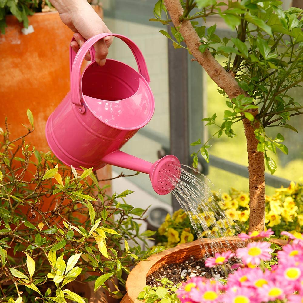 1,5 L Eisen Gießkanne Hause Bonsai Anlage Dusche Werkzeug Gartenarbeit Wasser Topf Bestreut Wasserkocher Garten Bewässerung sprühen Flasche