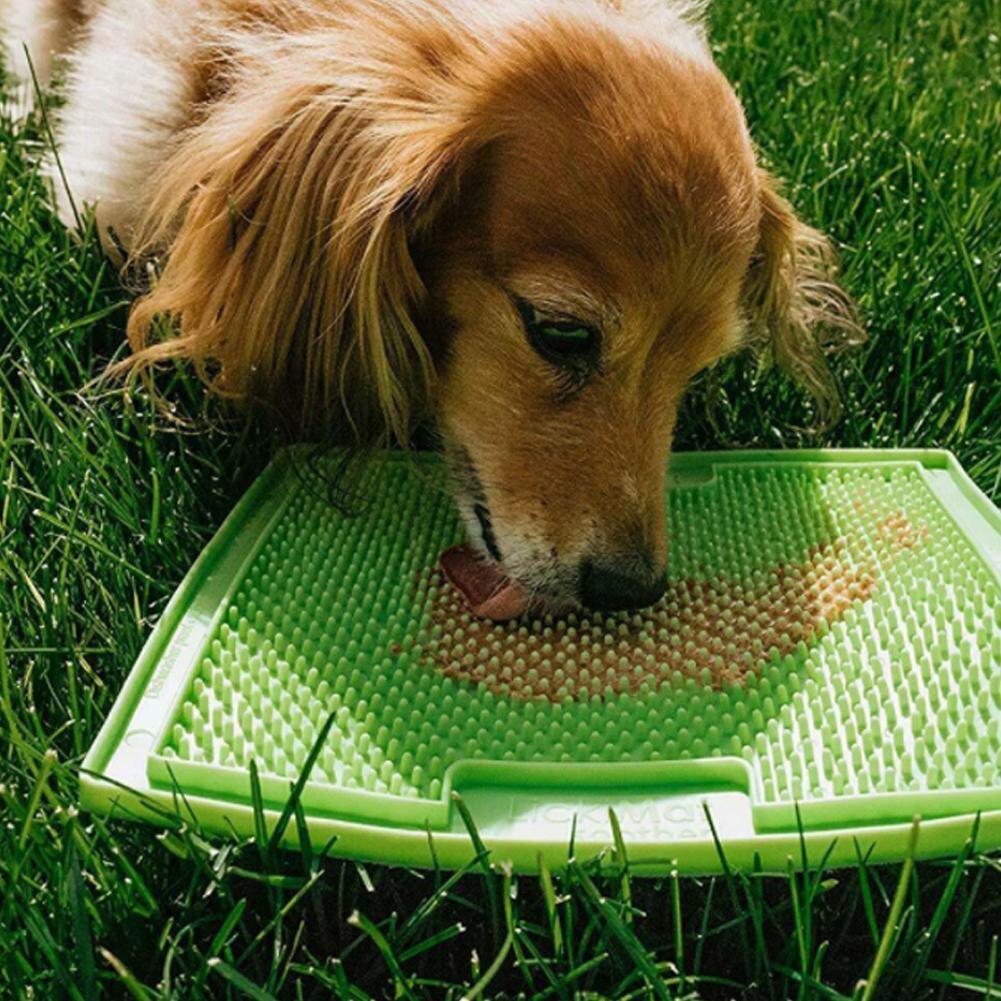 Pet Dog Puppy Slow Feeder Food Bowl Anti-Choking S... – Vicedeal