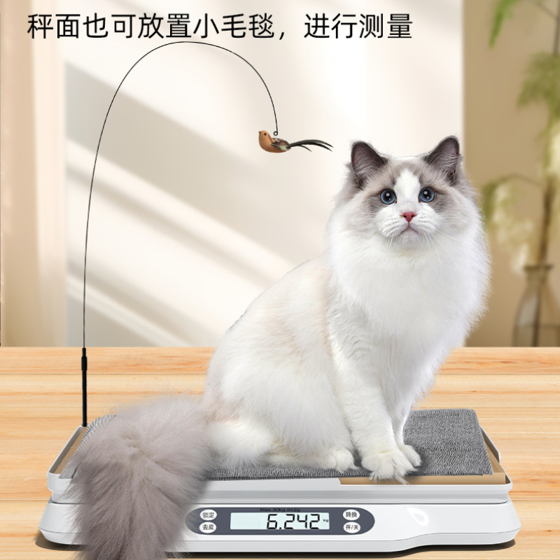 Balance électronique de précision pour animaux de compagnie, peseuse pour chat et chien, maison et animalerie