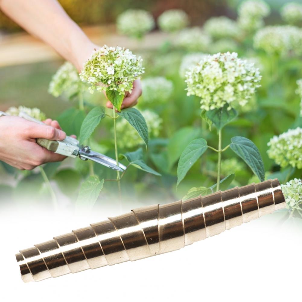 Resorte de podadora Universal de alta dureza, resorte de injerto de voluta de acero inoxidable de buena elasticidad, 5 piezas, para herramienta