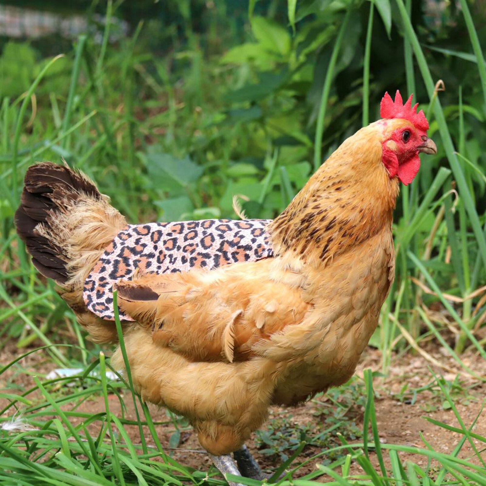 Gewatteerde Fabrci Hen Schort Kip Zadel Terug Protector Pluimvee Supplies